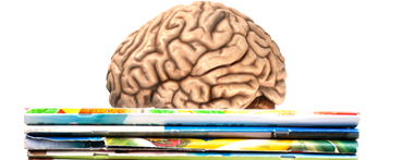 leilavi's tweet photo. Wounds That Time Won’t Heal: The Neurobiology of Child Abuse https://t.co/K7TFNTvMv5 https://t.co/bdnb9VoXpl