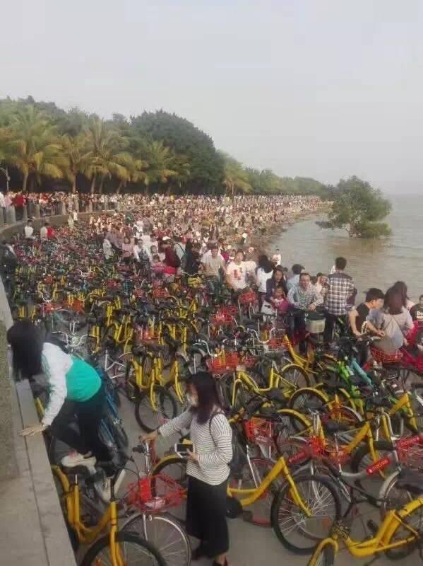 ofo locations