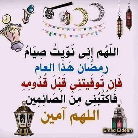 mohammadabdallah (@mohamma01606565) on Twitter photo 