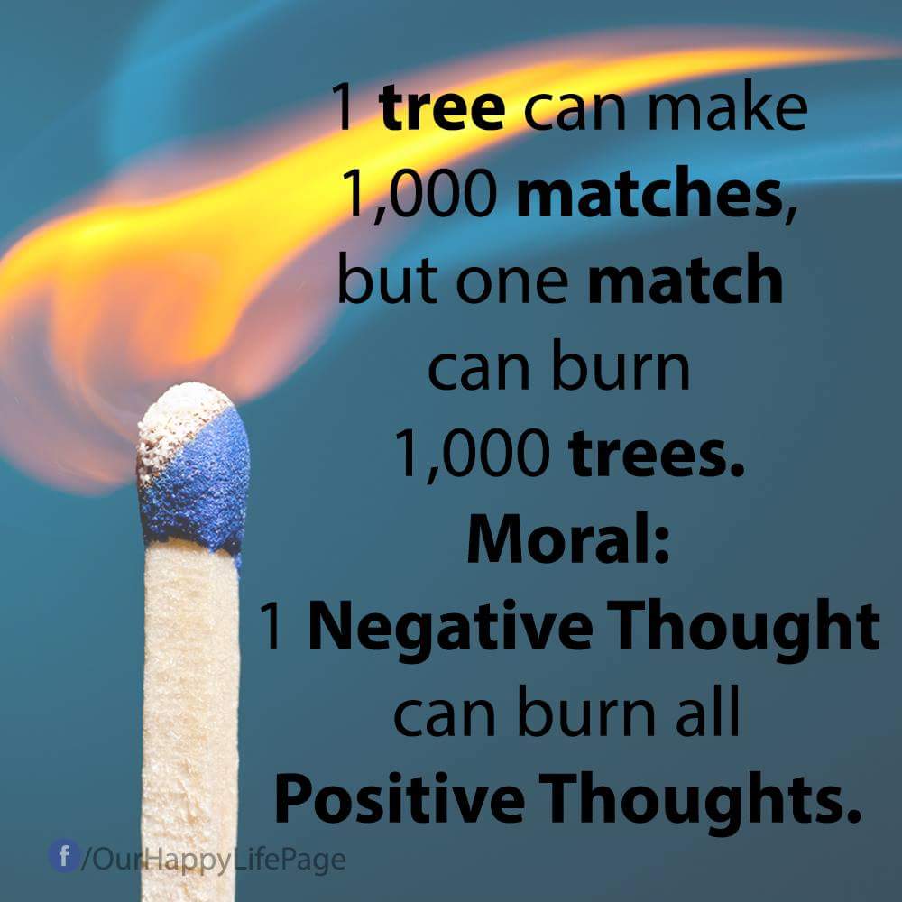 Gerd Kopp on Twitter "1 tree can make 1,000 matches, but one match can burn 1,000 trees. Moral