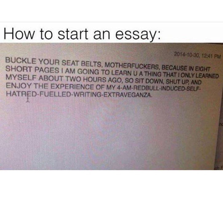 ALEXANDRA+ tweet media