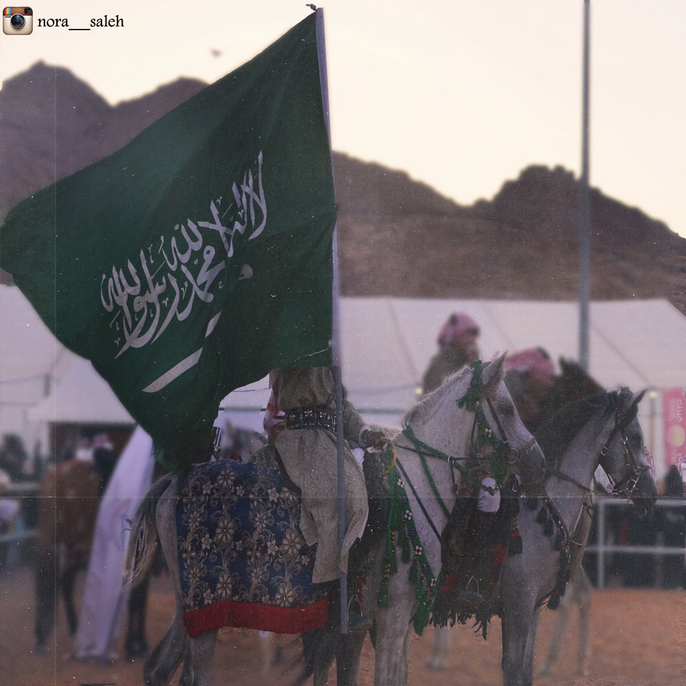iiin500's tweet photo. @HailPhotography @Hail_FF #hail #7ail #المغواة #رالي_حائل الله البادي ثم مجد بلادي ⚜️💚💚 https://t.co/BMHuwbyC1l