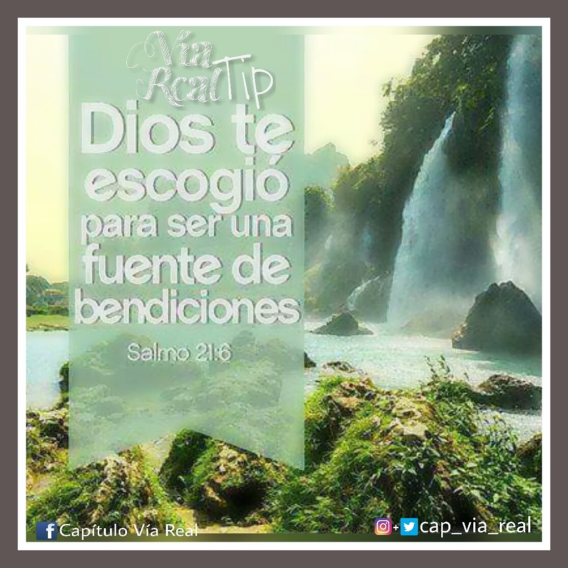 cap_via_real's tweet photo. #ViaRealTip #TipDelDia #CapituloViaReal #Fihnec #ElSalvador #DamasFihnec #HistoriasDeExito #Mujeres #Exito #FihnecElSalvador #FihnecSV https://t.co/mcneeq7nBM