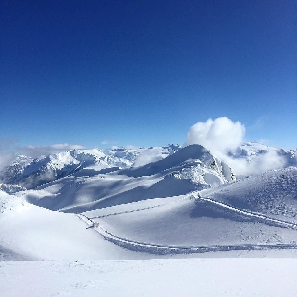 moonriderpro's tweet photo. Enter your comment here! #powertobe #beautifulbc #catskiing #philanthropy #aprilwhat #snowboarding #canada https://t.co/TrSqgY3Myd https://t.co/dvSnZG02De