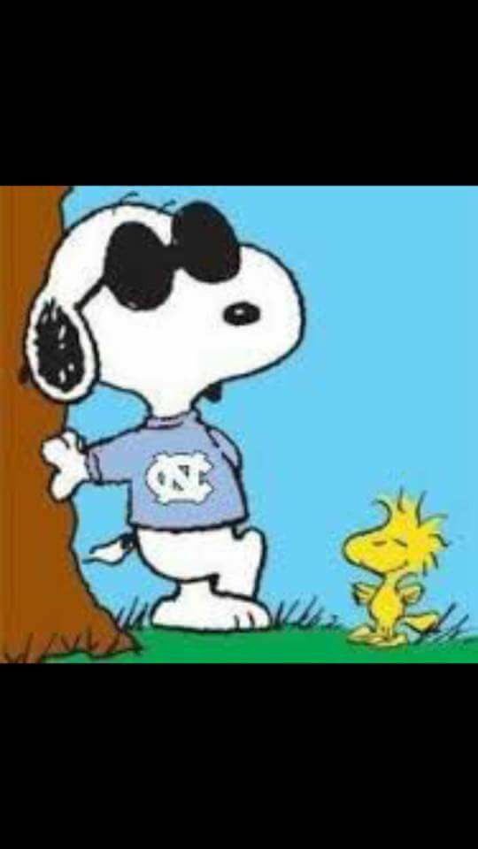 pak623's tweet image. R