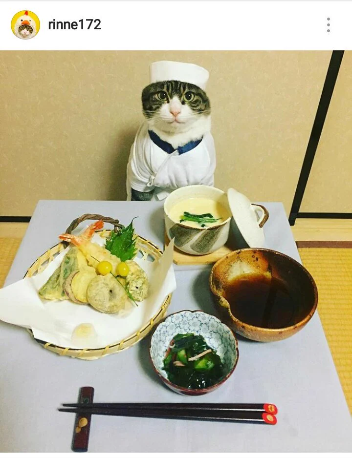 これはやばいｗｗおいしそう！と、かわいい！！が同居しているお料理アカウント