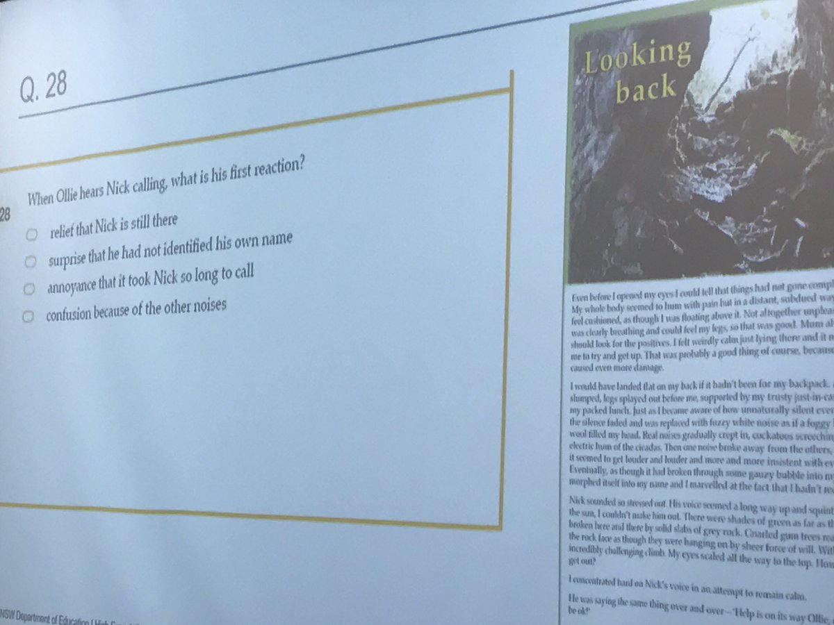Delegates learning about literacy as a general capability and a specific capability for each subject area. #DoEHighExpectations