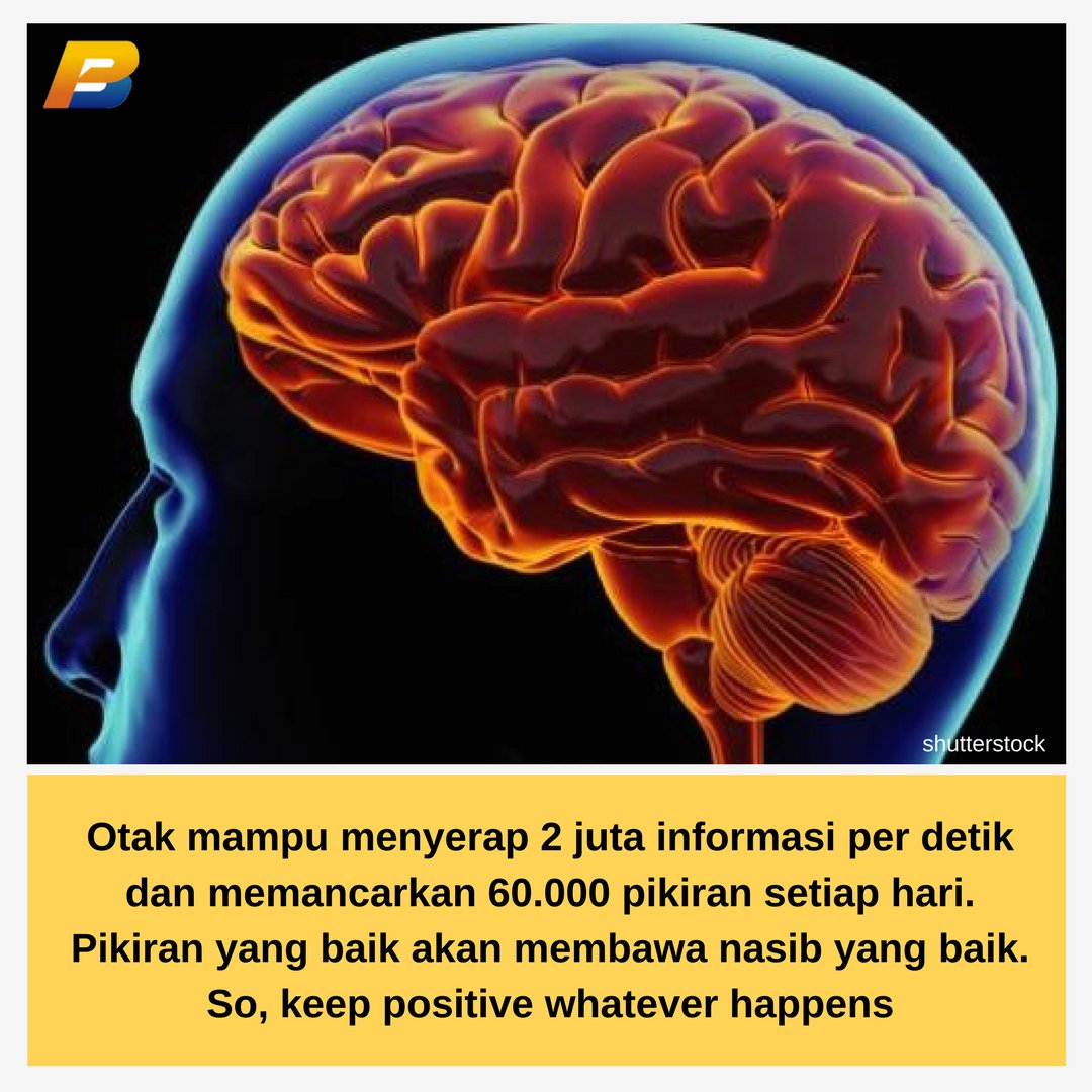 BritPropolis tweet picture