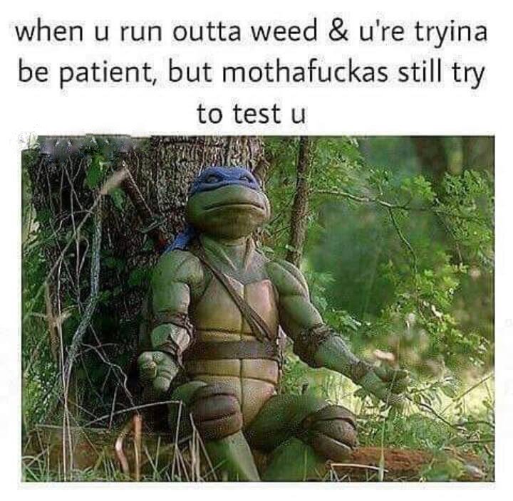 StonerWishlist's tweet photo. https://t.co/0Q1vUdr9bC