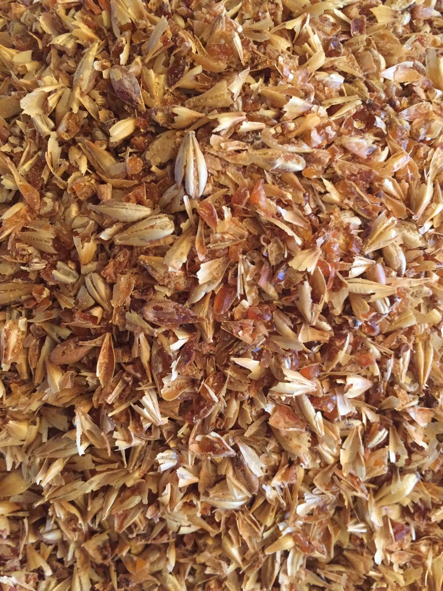 Siding14Brewing's tweet photo. Accomplished 2 more #TestBrews today! Really excited about the beer with these grains in it #AllAboardForBeer #Goat https://t.co/01UUM0K2De