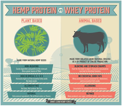 HempFoodsAus's tweet photo. Hemp Protein vs. Whey Protein... which do you prefer? #hemp #vegan #plantbased https://t.co/3v60avj90B