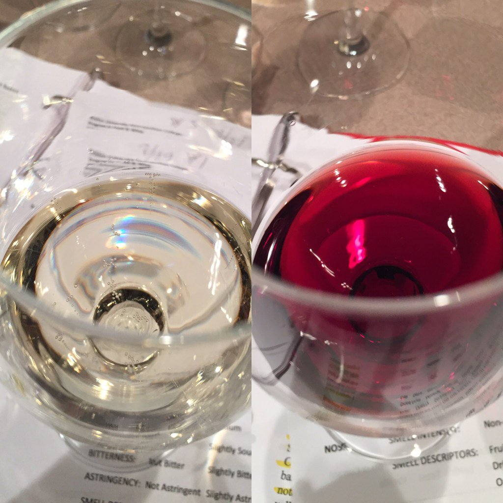 pass_thebottle's tweet photo. Wine Studies Level One- USA https://t.co/nZKAbr34Hb https://t.co/Xz09bYkPv2