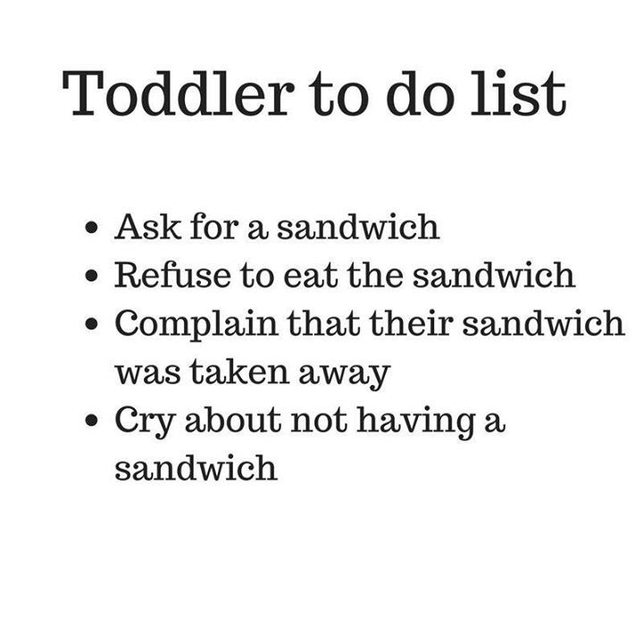 These toddlers are a hoot 🤣
