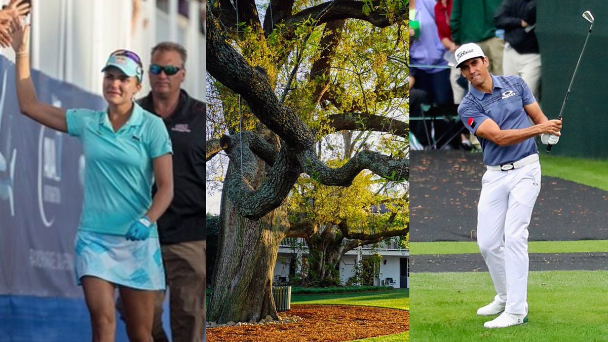 It was a WILD week in golf Instagrams: glfdig.st/mvwcyQd