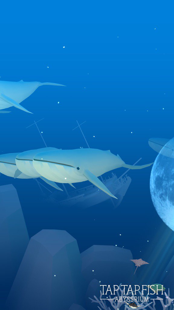 average_guy123's tweet image. My Blue Whale:) 
#taptapfish
Download: onelink.to/jhe4sh