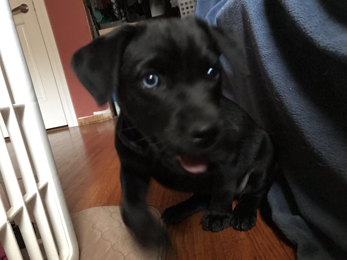 _ErikaTweets_'s tweet photo. I'll miss you, you blurry idiot. https://t.co/dGVjyfxKbG