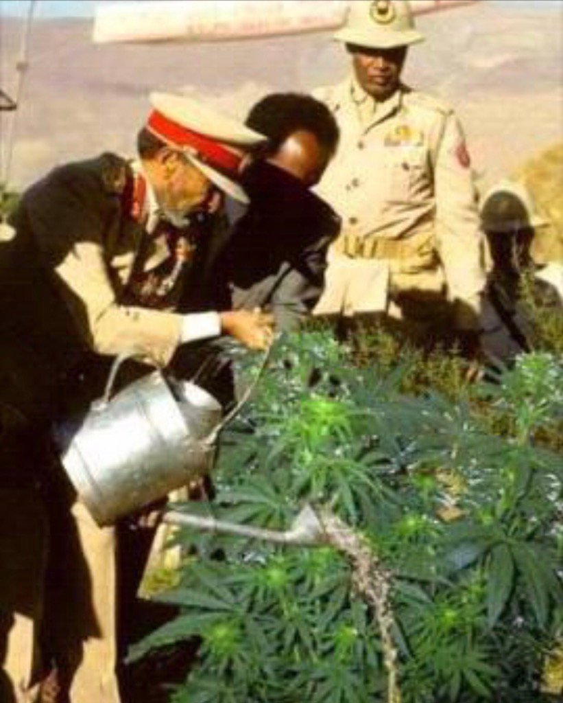 Legalize it (@ligalizeitsudan) on Twitter photo 