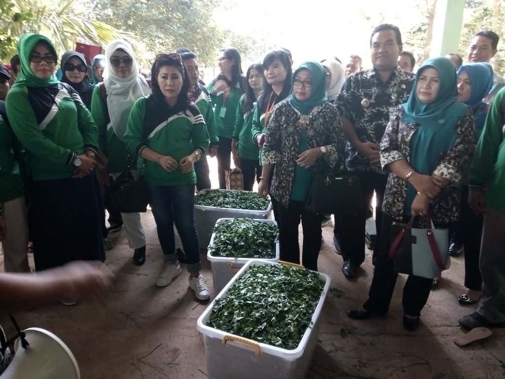 Wisata Edukasi Budidaya dan Pengolahan Kelor dari Kab.Sigi Sulteng di Ds.Ngawenombo @KecKunduran #Blora @PKKBlora