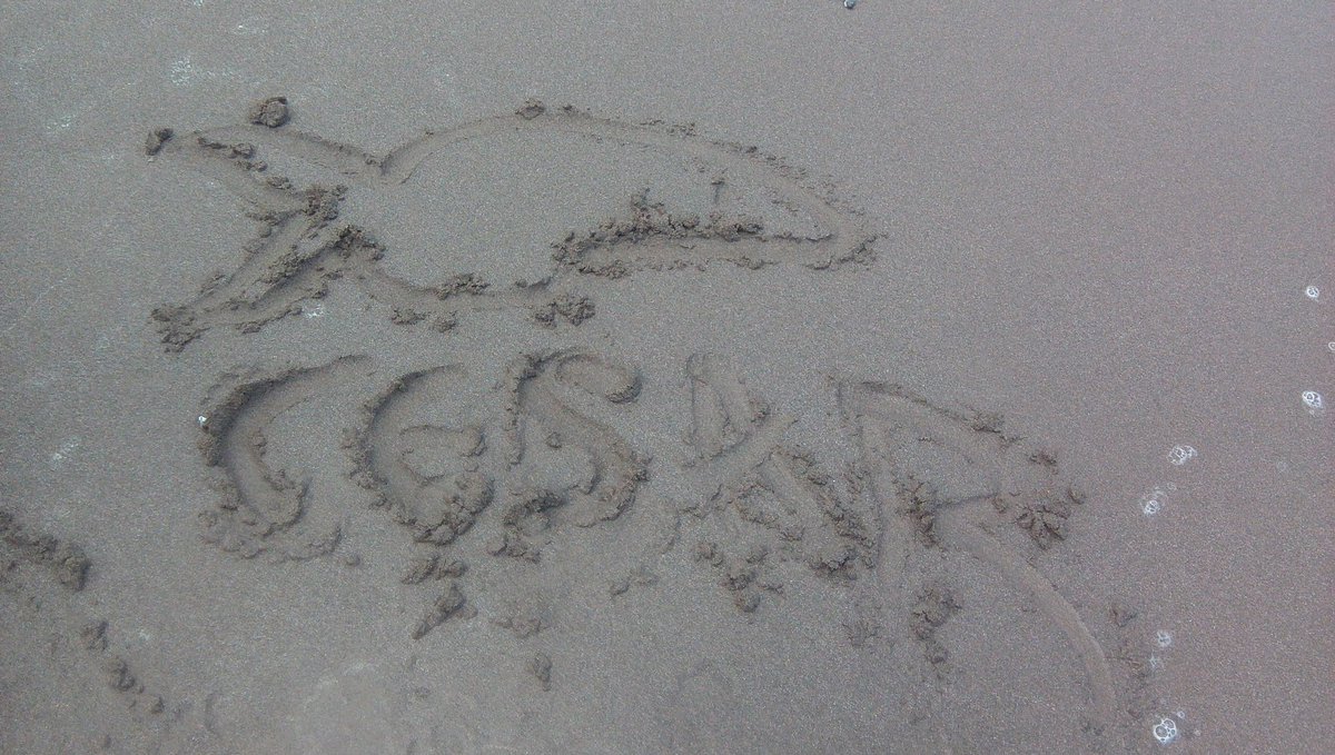 CoolVianey's tweet photo. Tu siempre presente en mi vida @cesarnavarroa saludos) #MiShulo https://t.co/zgpu09SXCj