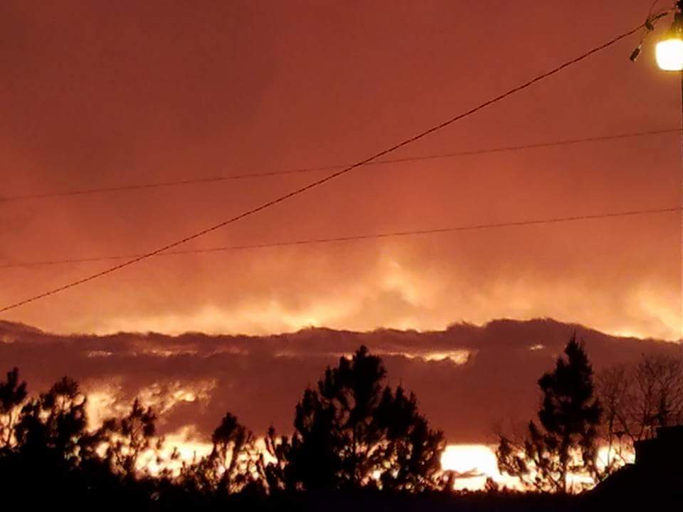 Mark Humphries tweet media