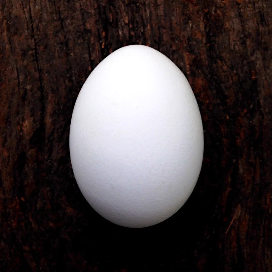 Twitterの卵アイコン廃止に伴いリアル卵アイコンを作る奴現るｗｗｗ