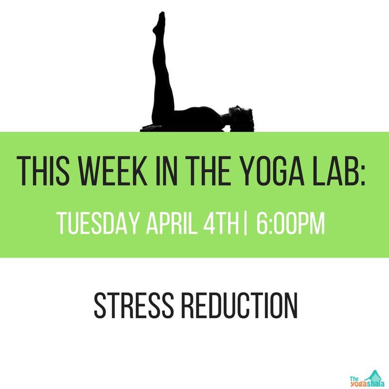 YogaShalaBums's tweet photo. Tonight in the #YogaLab join Jacqueline to learn about stress reduction #yoga.
#yogashalawaterdown #yogaeverydamnday #BurlON #HamOnt https://t.co/0R8TAi2Mca