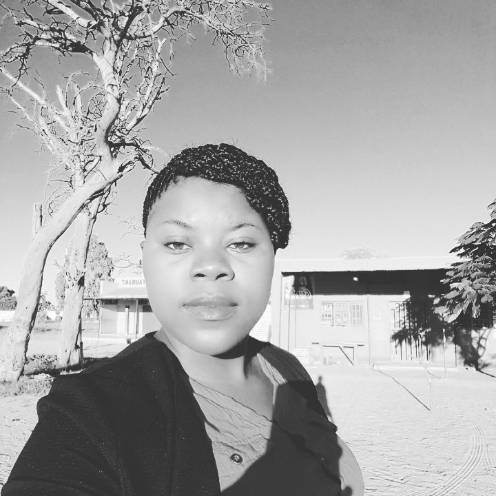 SimanoJ's tweet image. #NewProfilePic