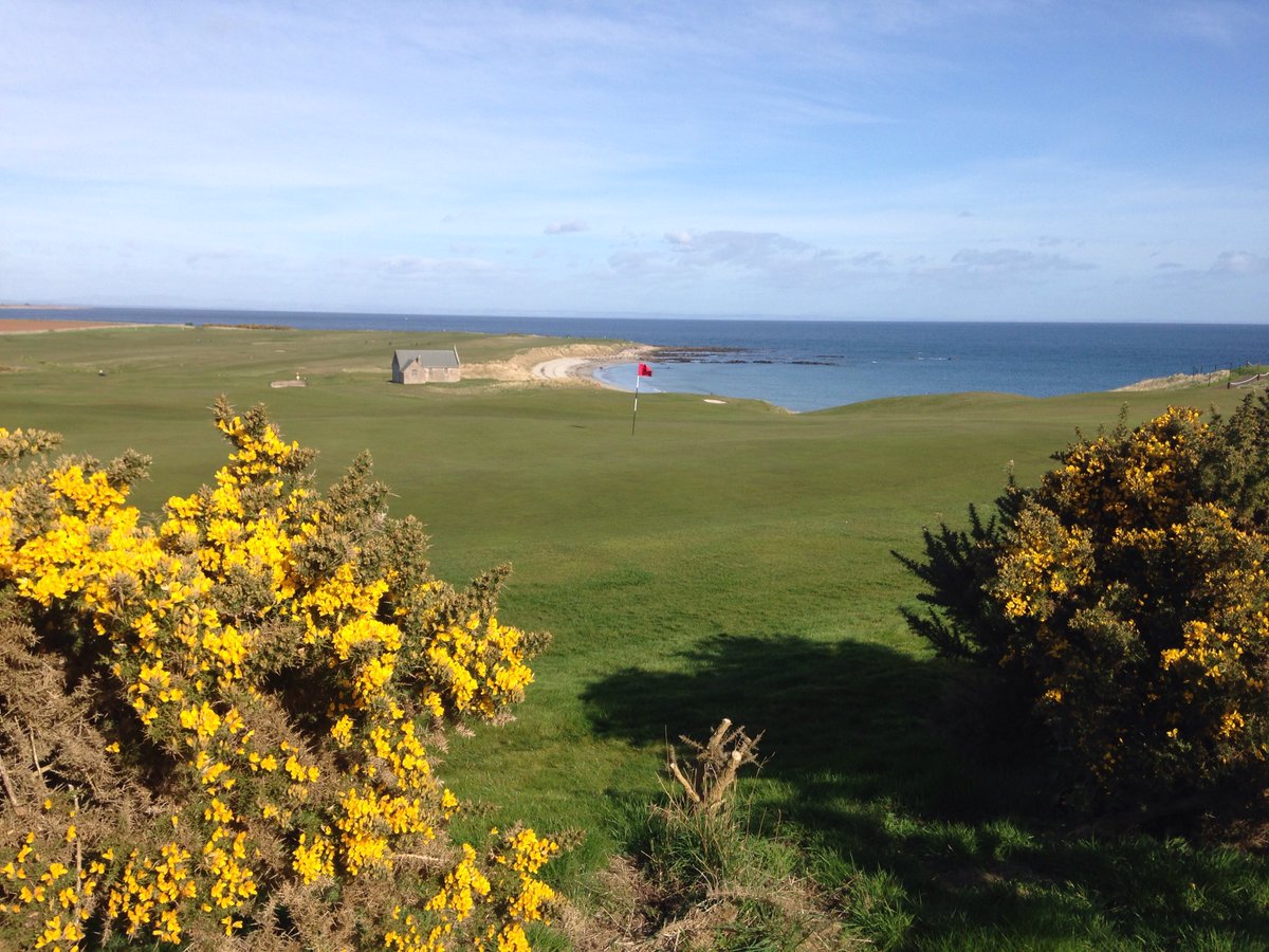 CrailGolf's tweet photo. It’s Masters week, gorse is in bloom and the sun is shining! The golf season has arrived! #golf #scotland #spring #themasters https://t.co/TzyisHPXxo