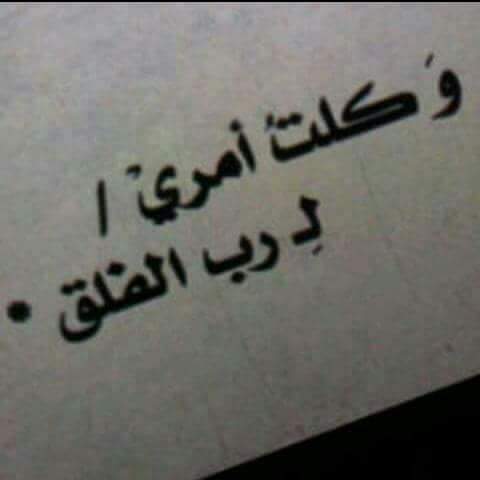huda huda (@aedc9a16fa8b45f) on Twitter photo 