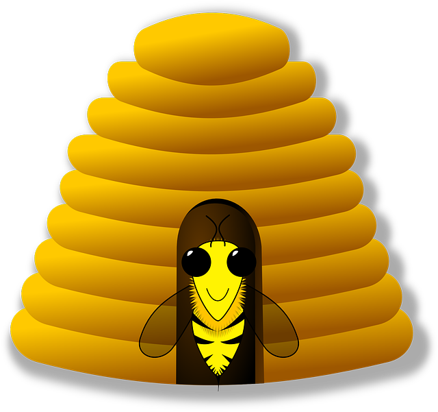 thebeekeeperman's tweet photo. I wish everyone would start beekeeping simply because it has a number of benefits for this world... #gettingstart... https://t.co/dciTnT3ux3