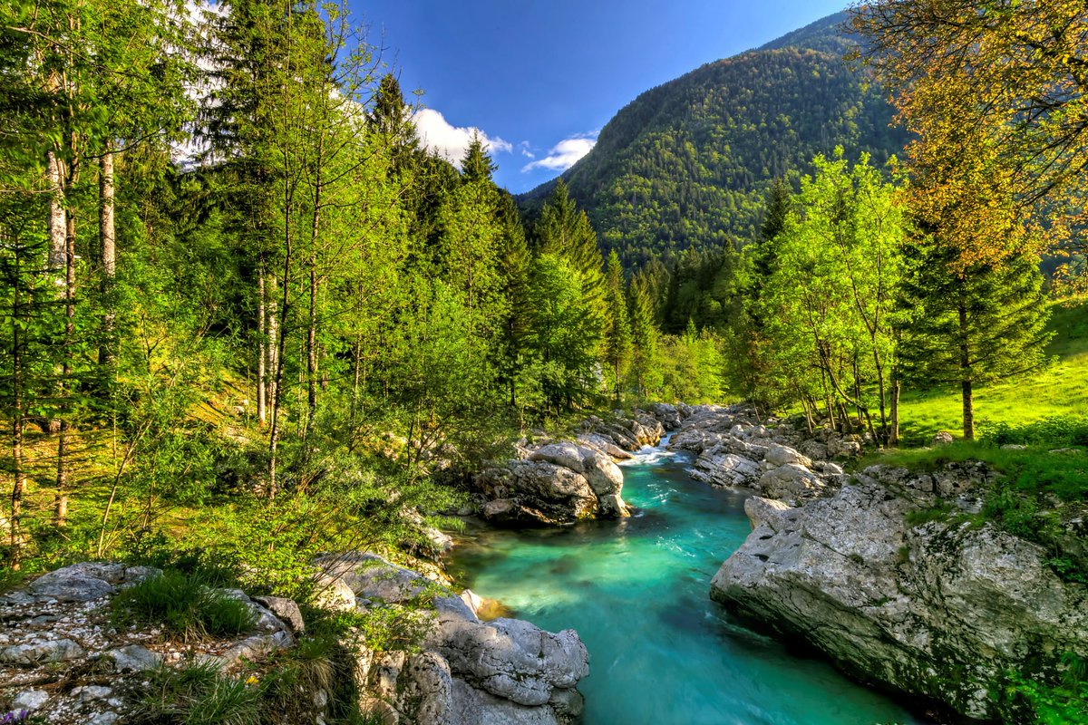 travel_slovenia's tweet photo. With its crystal clear, emerald green water, the #Soca is one of the most stunning rivers not only in #Slovenia but in the whole of #Europe https://t.co/K5EU4jL6PR