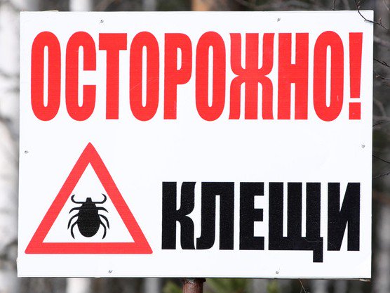 zdorov-info.com.ua on Twitter: "Чим для здоров’я людини небезпечні ...