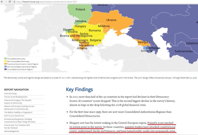 Bild auf Twitter anzeigen
