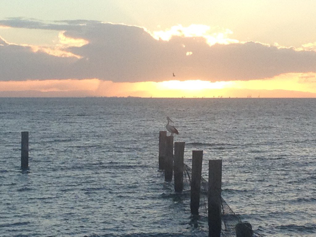 johno4imml's tweet photo. #propersunset #stradbrokeisland #amitypoint https://t.co/v8wwxEOkiI