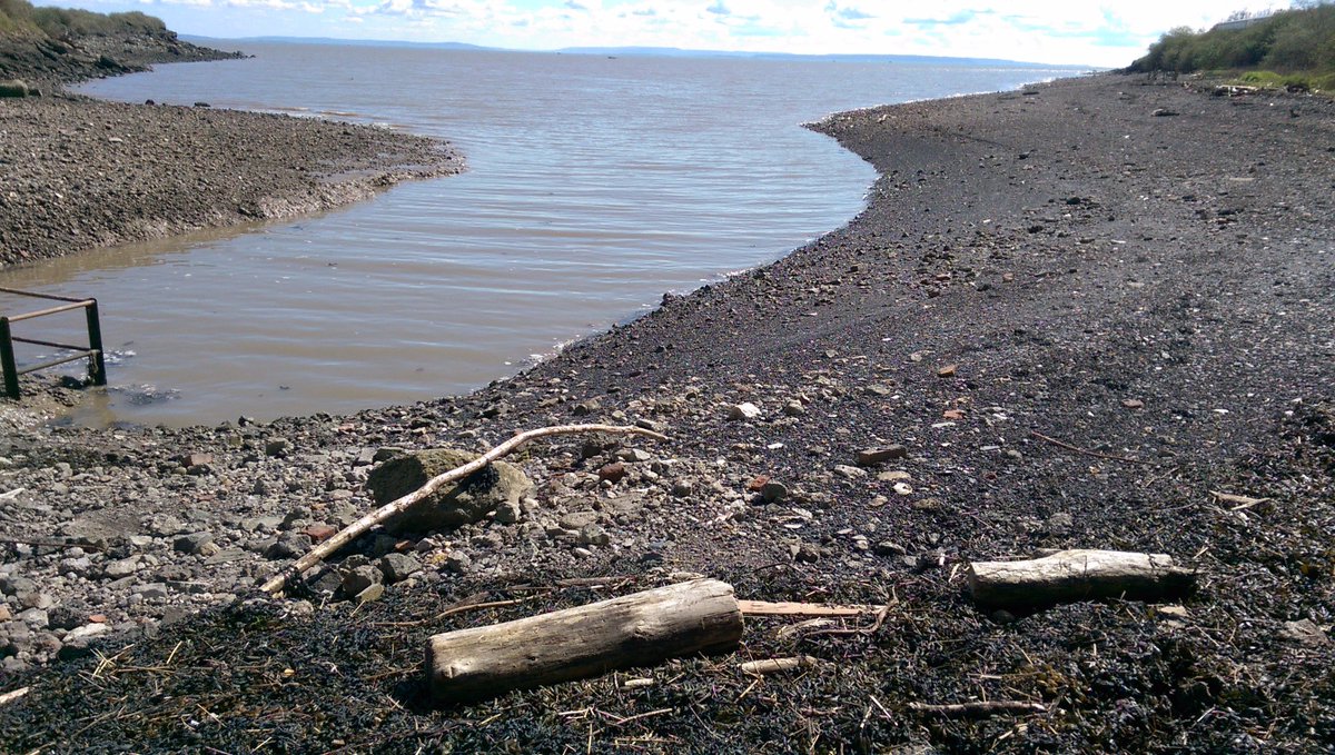 inksplott's tweet photo. It may not be barrybados, but it's our little patch of coastline ❤️Splott Beach #costadelsplott #splott #splottlife #cardiff @WalesCoastPath https://t.co/WAC9VRJZrk