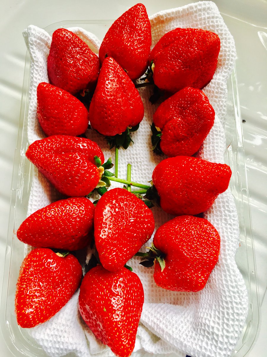 gyre_and_gymble's tweet photo. Clean the fridge with lemon &amp; vanilla then add a bowl of fresh strawberries. Irresistible 
Visit: https://t.co/6ooeQUZig9 #cleanwithfood https://t.co/xXwhcIrUtZ