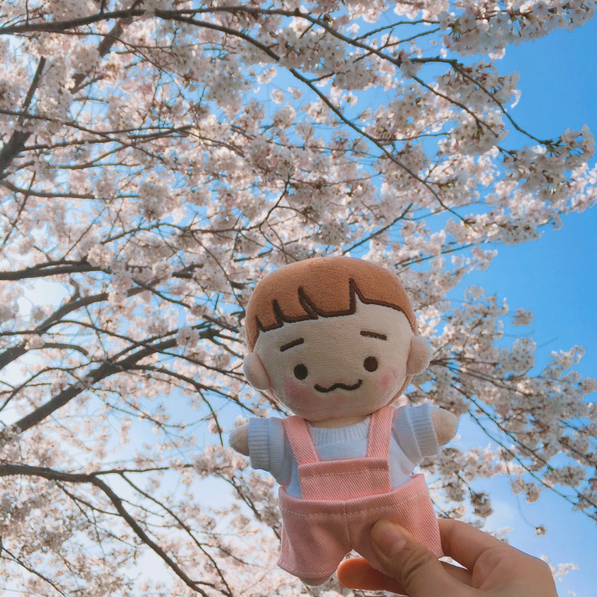 Do0112_oD's tweet photo. 체니랑 벚꽃여행~! 요기는 마망의 학교뒤뜰! #셀럽체니 #육아계 https://t.co/adV6wfnYoN