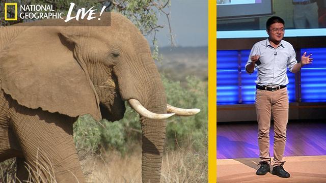 Inspired Escapes tweet media