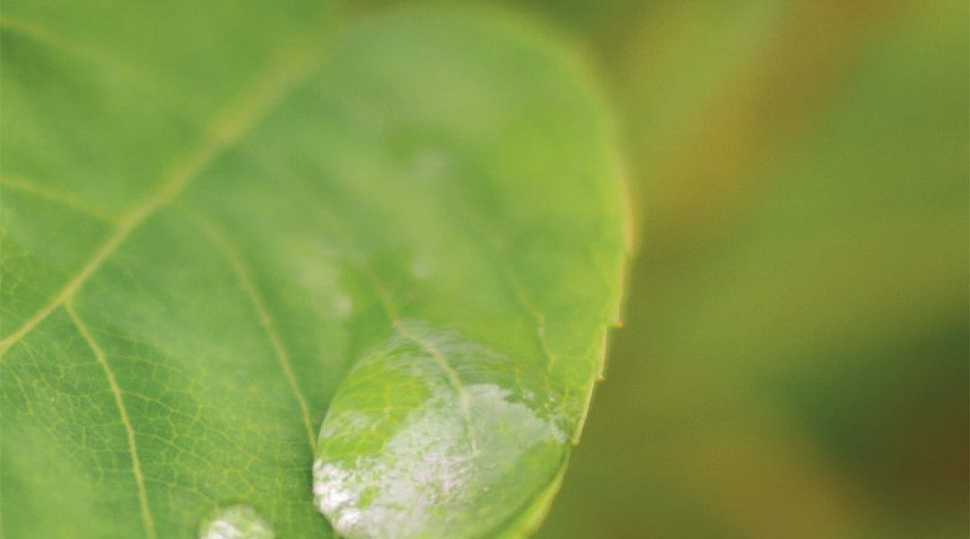 A Cloud for Global Good: a policy roadmap. Storm Clouds #SmartCityPlatform #bodyofknowledge
storm-clouds.eu/services/2017/…