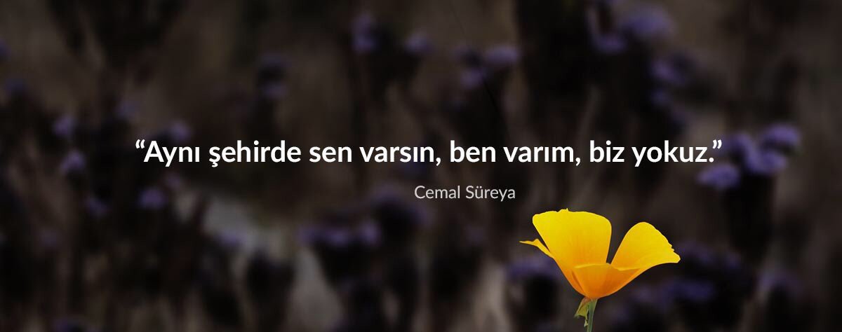 c_sureya's tweet photo. Aynı şehirde sen varsın, ben varım, biz yokuz.

Cemal Süreya https://t.co/Rx1QW4YL9u