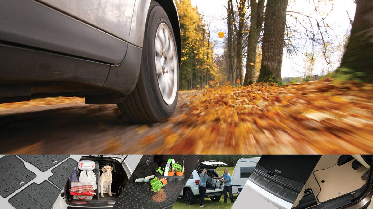 Travall_ES's tweet photo. ¡Para esta primavera atrévete con las Rejas Travall! Ideales para tu perro, equipaje y artículos varios en tus rutas https://t.co/xlnWueyUT5 https://t.co/E7fpxN5Q95