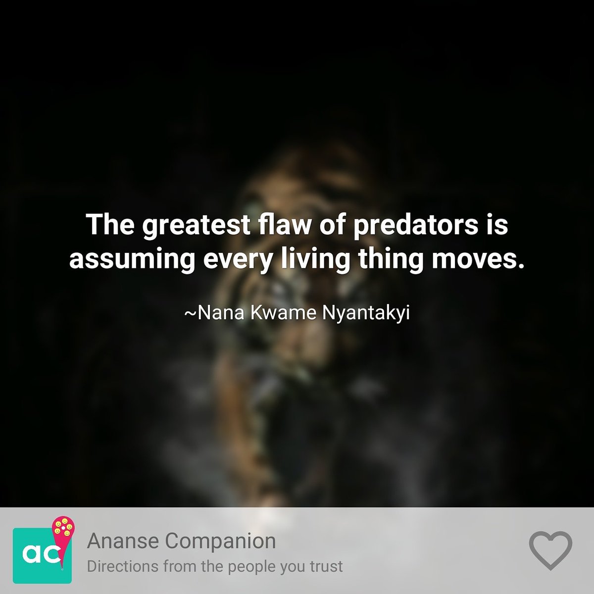 anacquote's tweet photo. #anacquote from @Knexis9 https://t.co/24py7IfOBS