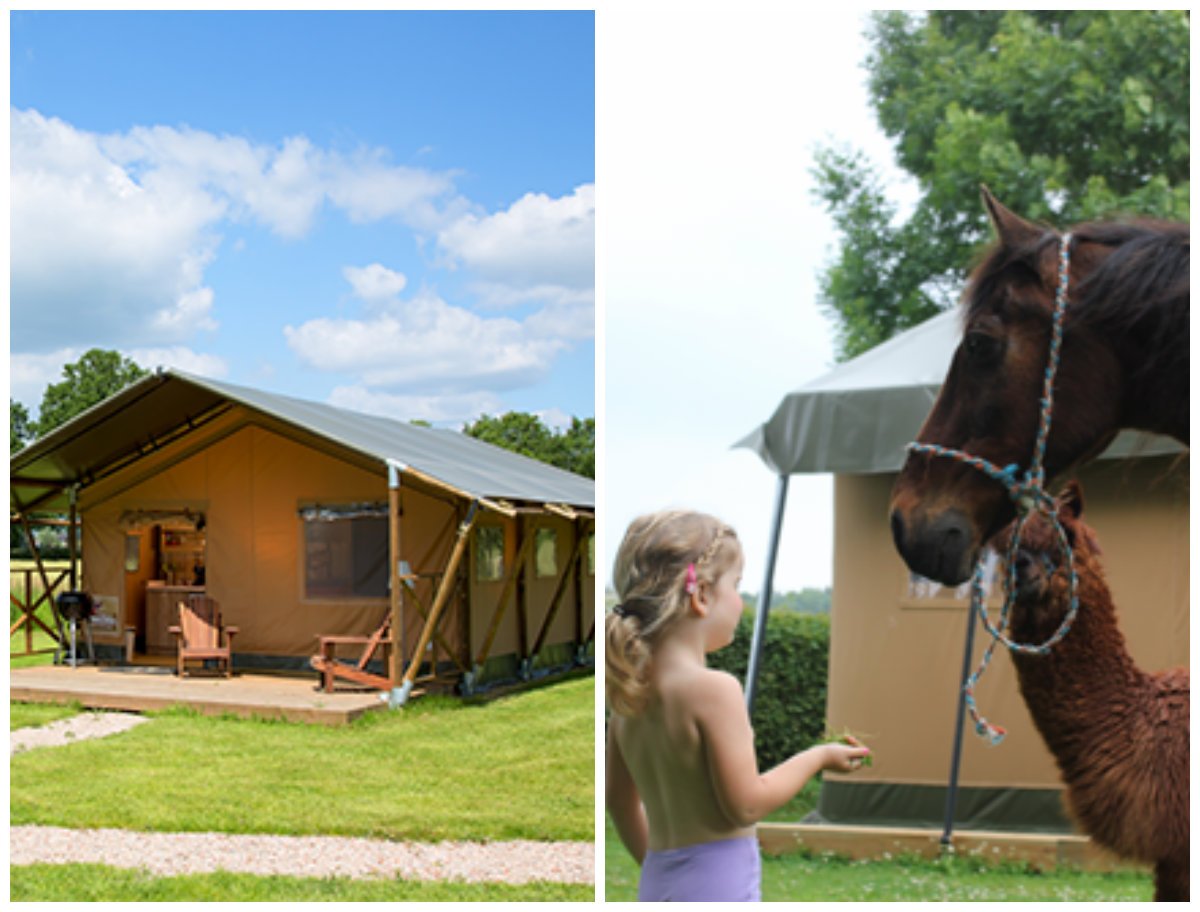 Geen leukere speeltuin dan een boerenerf! Huur zo'n luxe #safaritent voor bijv de #meivakantie. bit.ly/1GRi6qo
