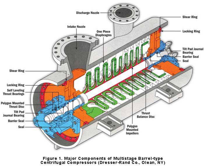 download history of the future: