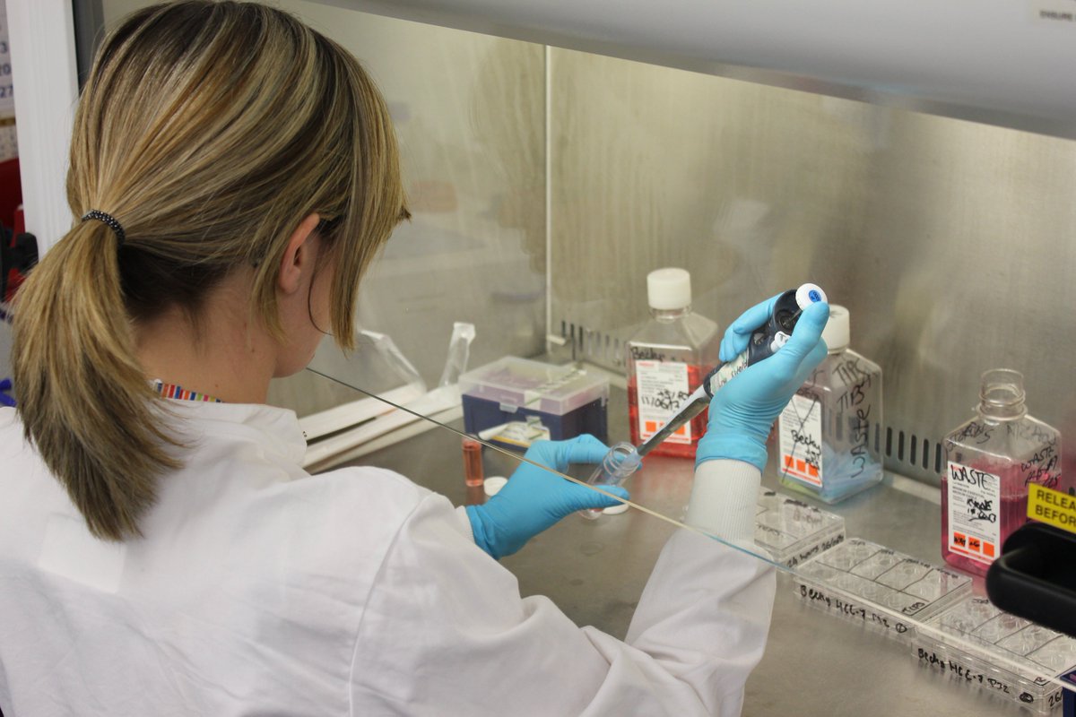 MacularSociety's tweet photo. We're now accepting preliminary applications for research grants and PhD studentships beginning in 2018 https://t.co/g0Gt7LIxJX #research https://t.co/CAQQezd0dD