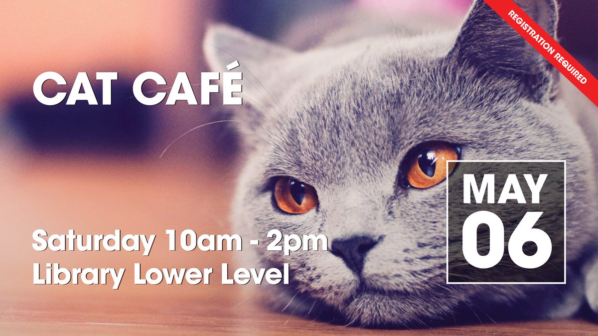 😺 + ☕️ = cat café! May 6!
Registration required.
📞 403-502-8525
<a href="/APARC_MH/">APARC</a> 
#medhat #MHPL #caturday