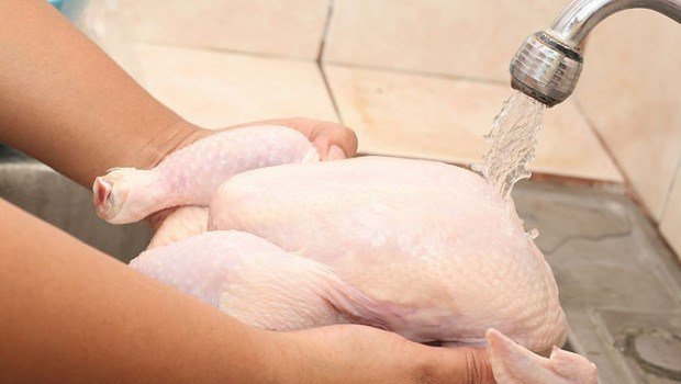 IngenieriaHOY's tweet photo. Pollo comienza a producirse en laboratorio para evitar muerte del animal - El pollo frito nunca dejará de ser ... - https://t.co/wPcnHAtSiL https://t.co/h1aTHAtqNM