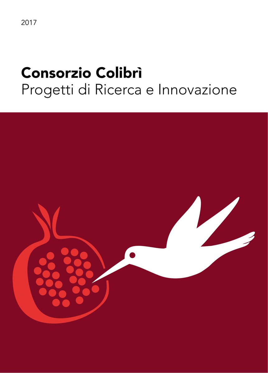 Sanità, #Ricerca e #Innovazione. I migliori progetti, di ieri, oggi e domani,  <a href="/info_colibri/">Consorzio Colibrì</a> raccolti in un'opera a carattere divulgativo.