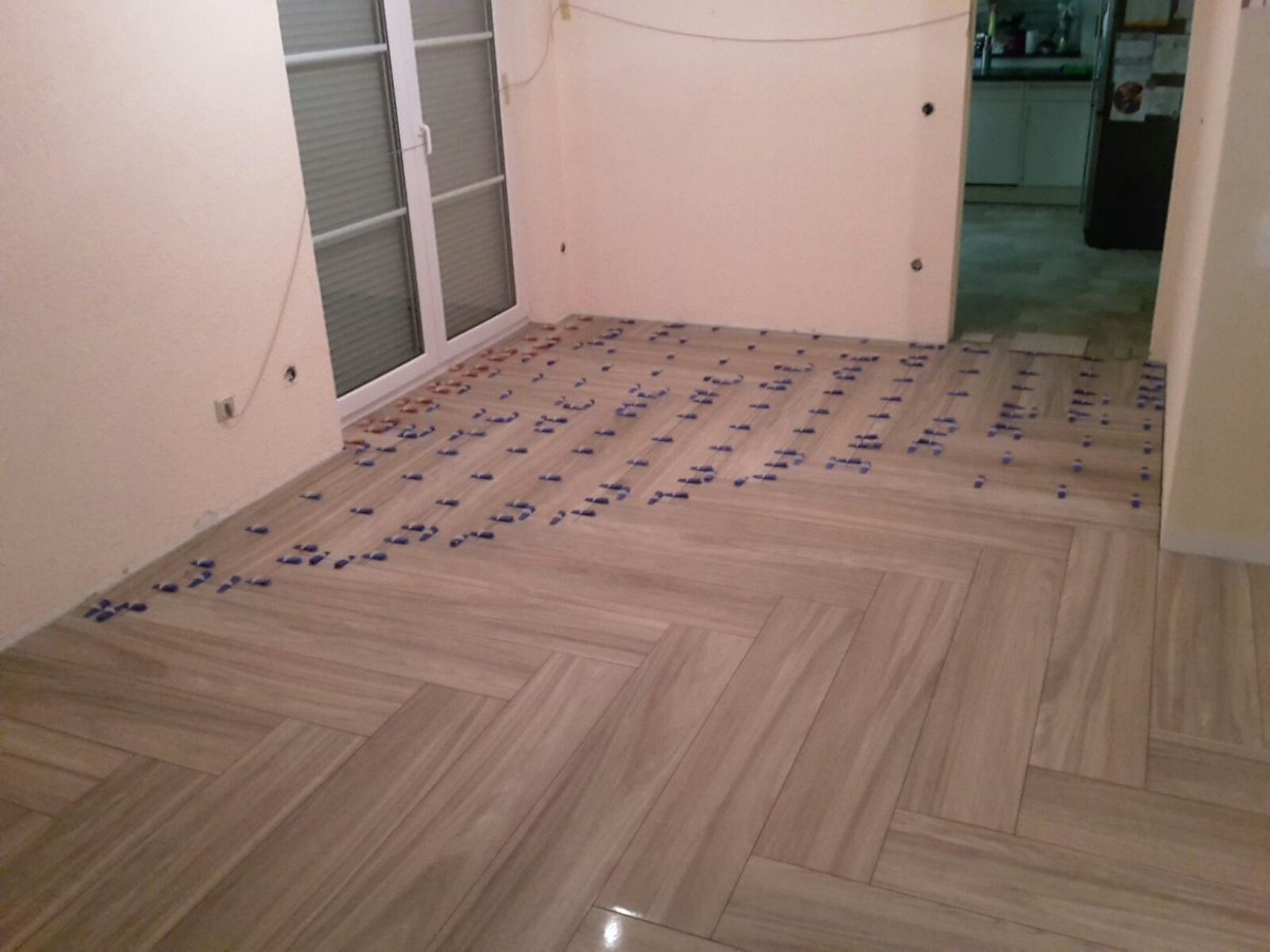 PorcelaniteDos tweet picture
