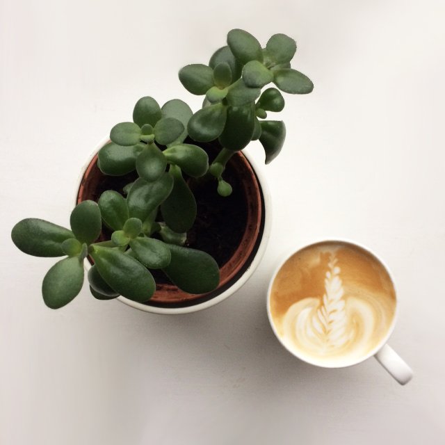 Percol_Coffee's tweet image. Antioxidants fight free radicals in our bodies 💪 You can top up your supply by drinking a few cups of coffee 🙌☕️ #TuesdayMotivation